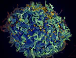 A Stacking-Based Classification Approach (Case Study in Volatility Prediction of HIV-1)