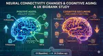 Exploring the association between changes in neural connectivity and cognitive function in older adults: A UK Biobank study