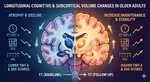 Association between subcortical volume changes and longitudinal cognitive measures in older adults