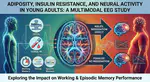 Adiposity and insulin resistance moderate the links between neuroelectrophysiology and working and episodic memory functions in young adult males but not females