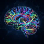 Decoding Cognitive Aging with Diffusion MRI
